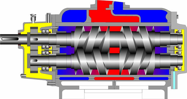 screw pump internal structure.jpg